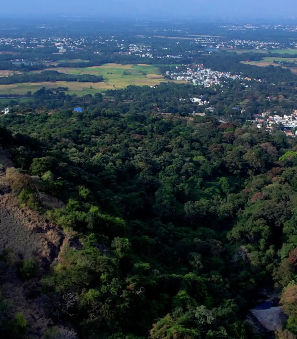 Shenbaga Devi Falls Trek
