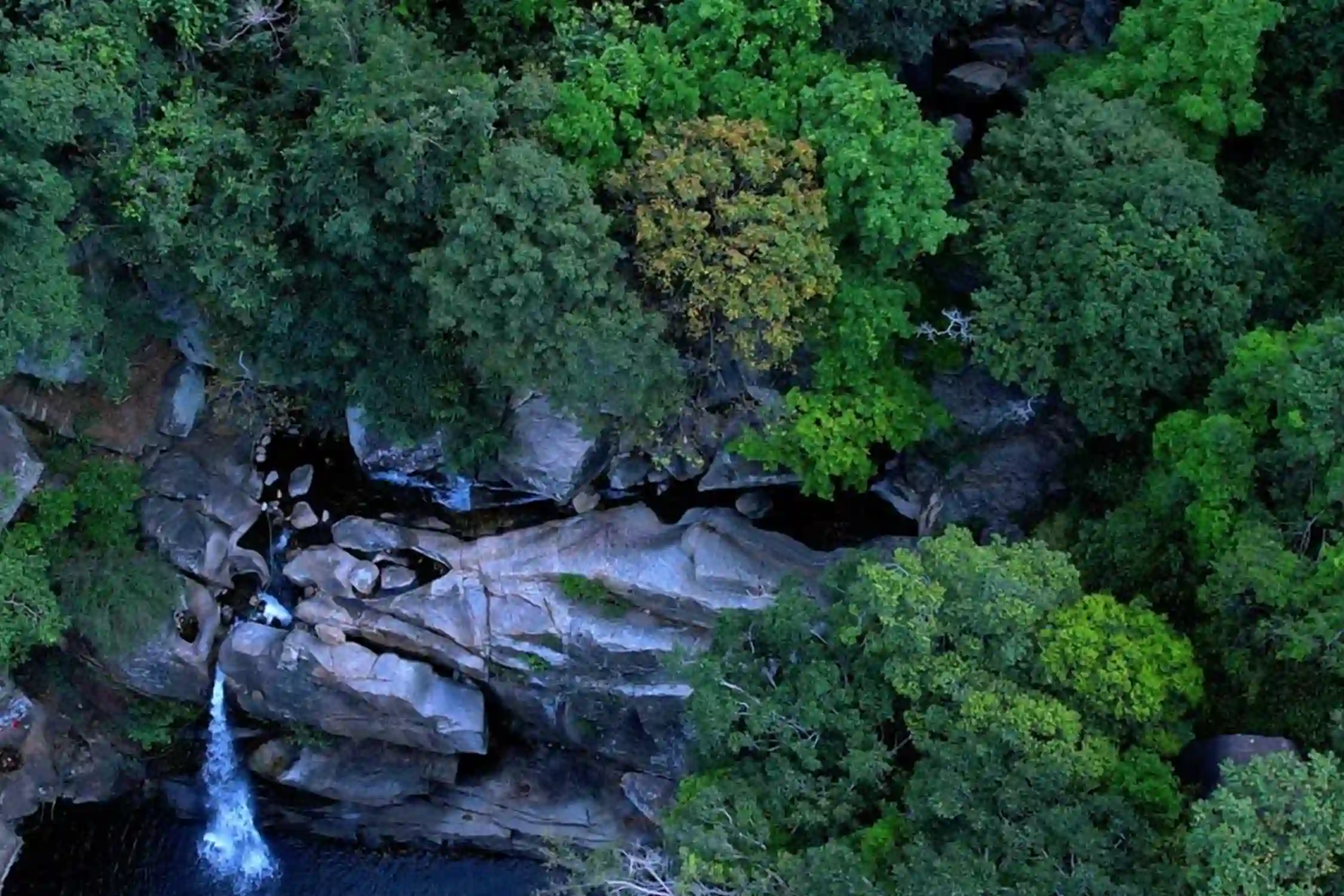 Shenbaga Devi Falls Trek