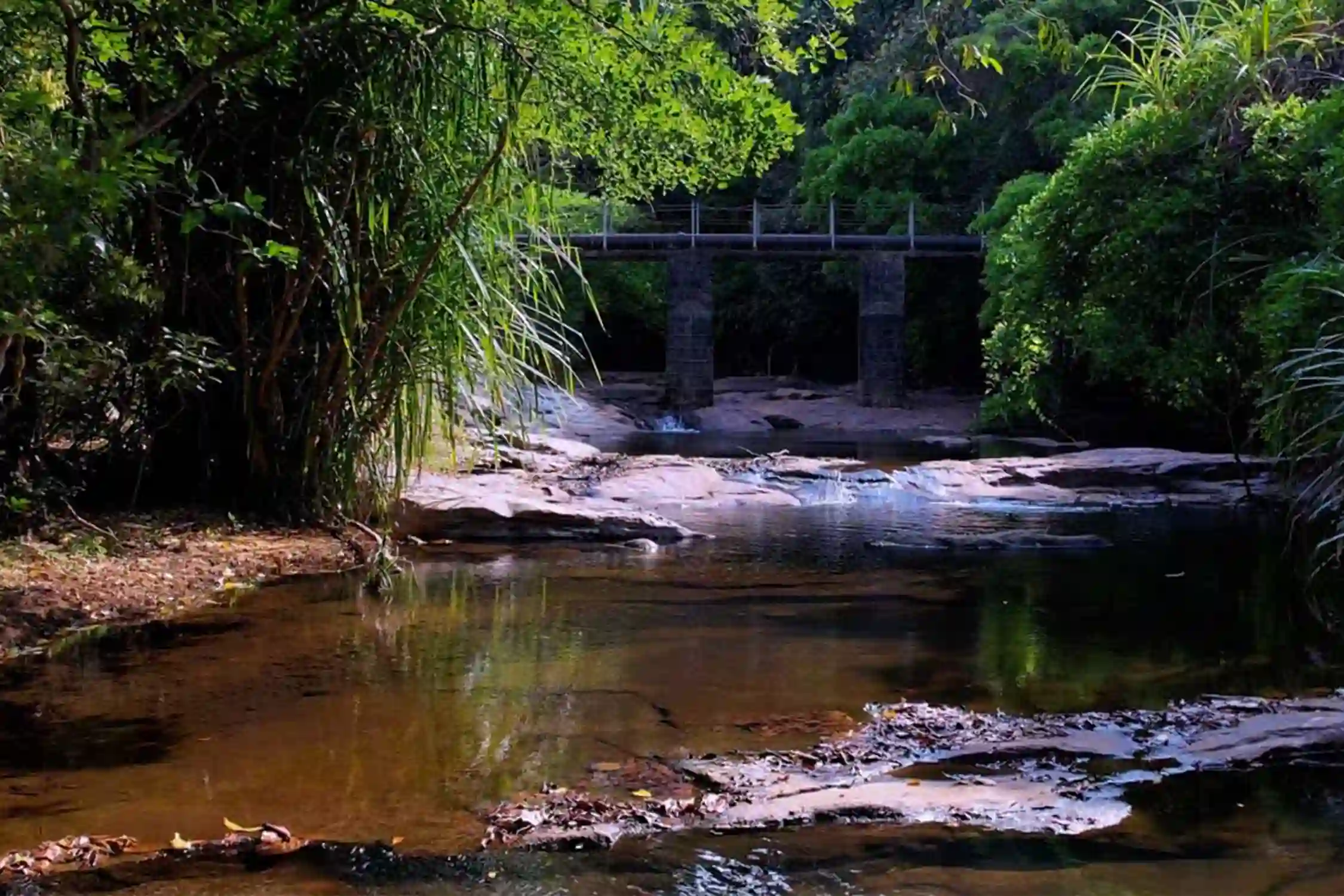 Shenbaga Devi Falls Trek