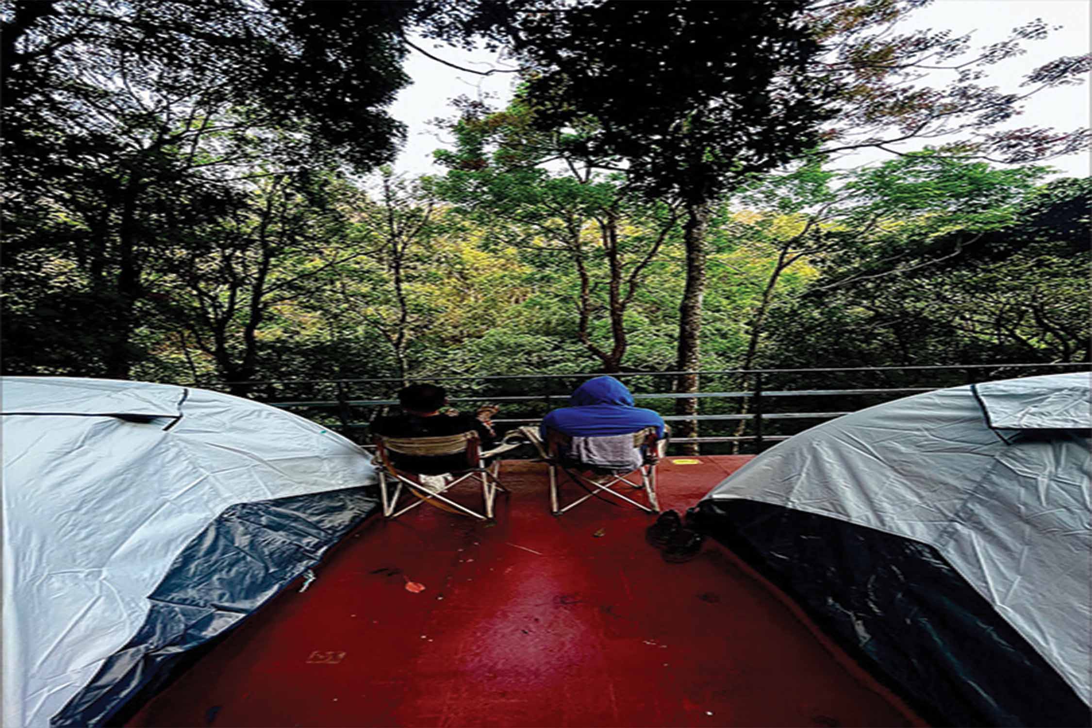 Wayanad Tent Stay | For Nature Lovers Only