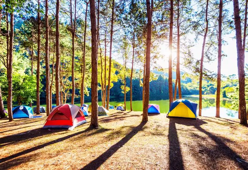 3 Days Rishikesh Package from Delhi with Camping