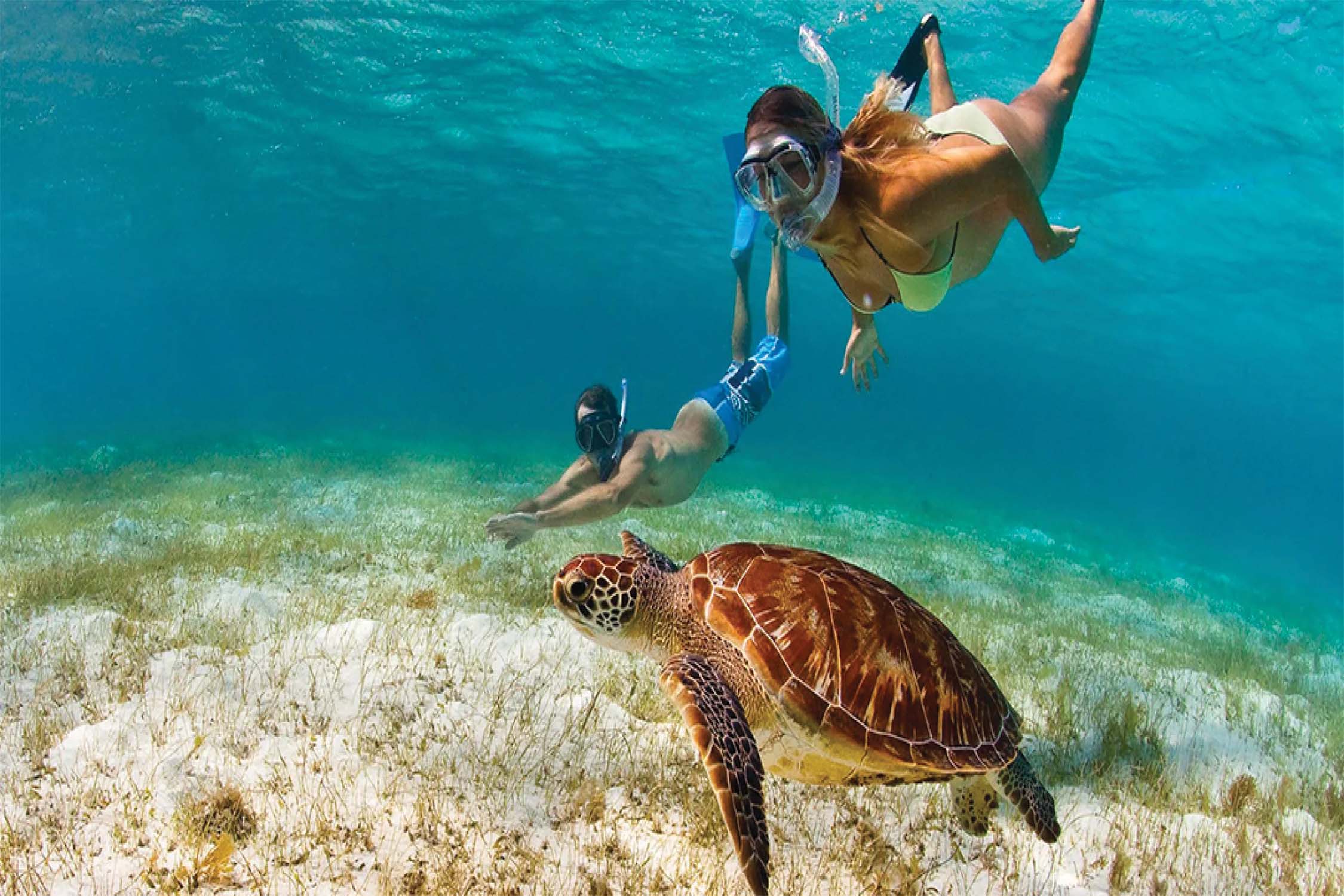 Snorkeling in Gonsua Beach