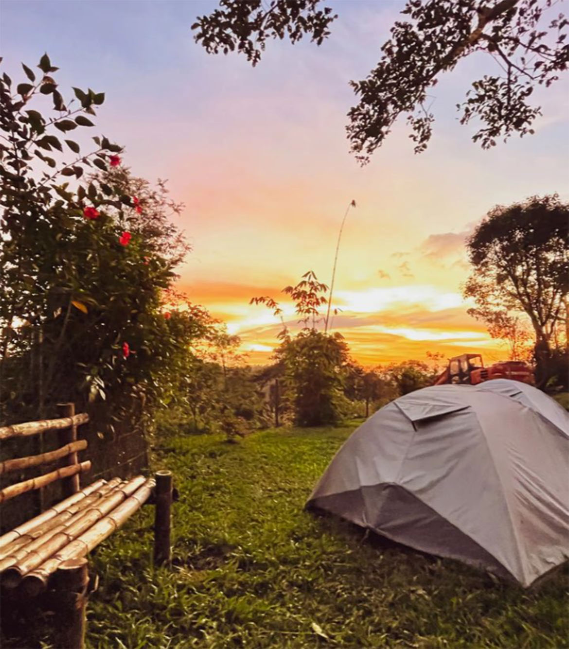 Camping in Thekkady