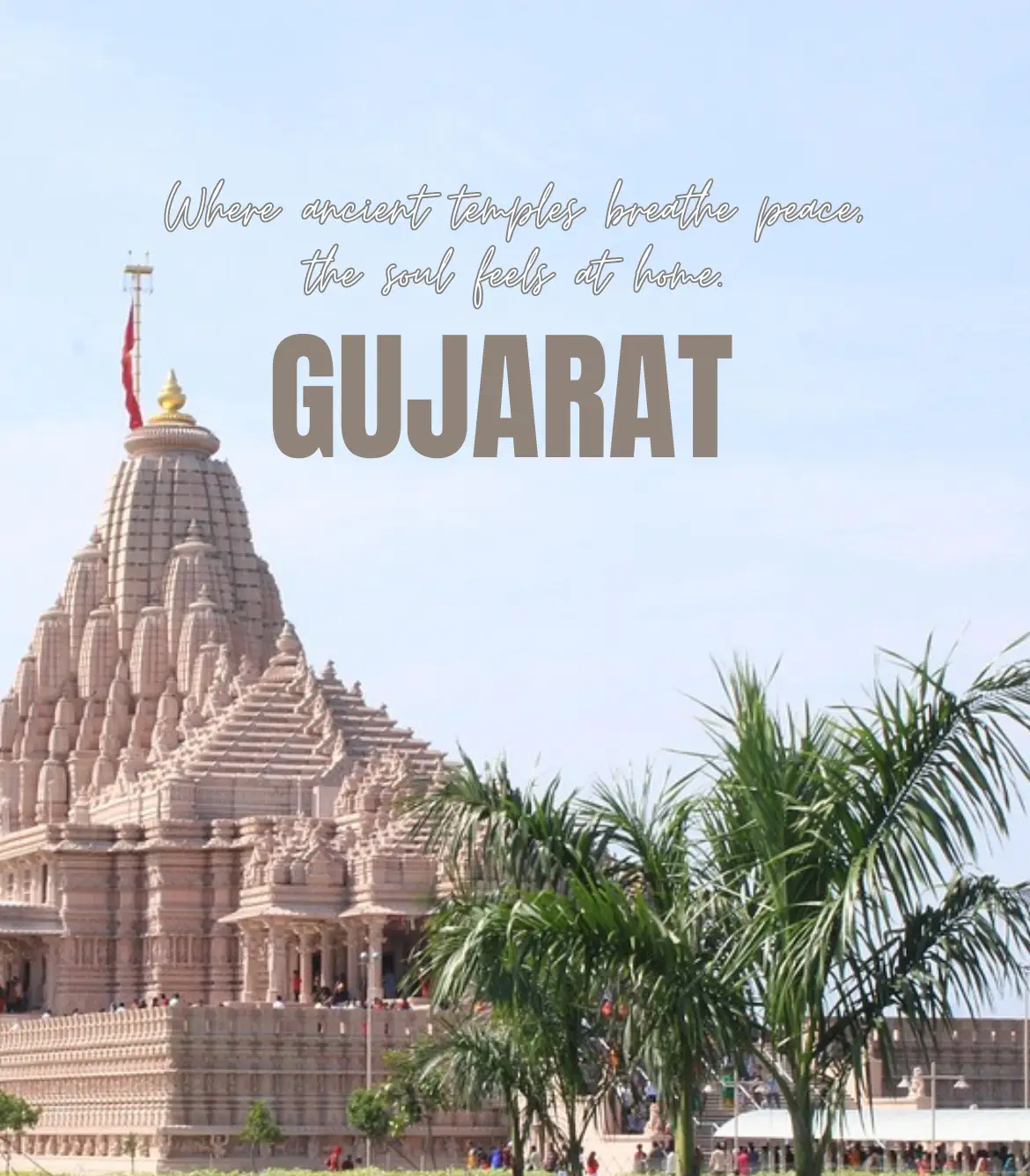 All of Gujarat with Rann Utsav