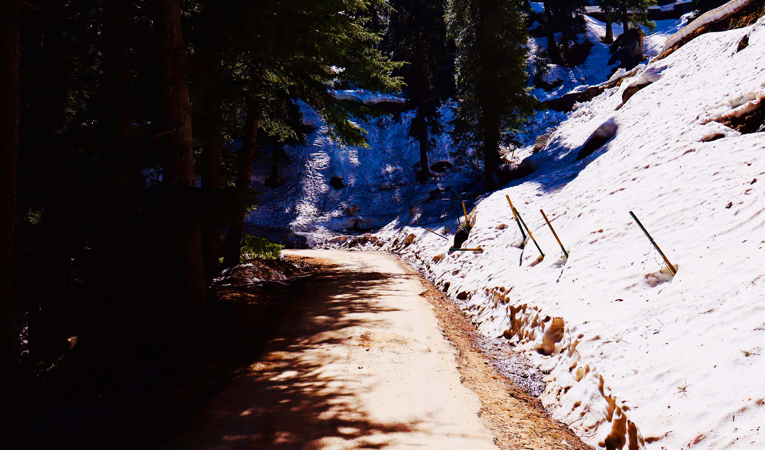 Trek In Dalhousie