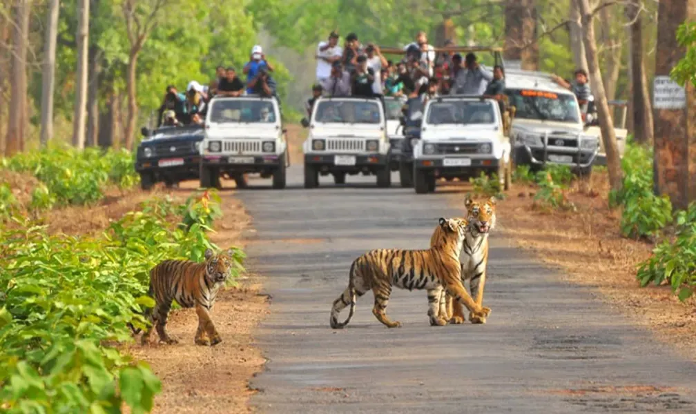 One Day Tour of Ooty from Mysore by Car