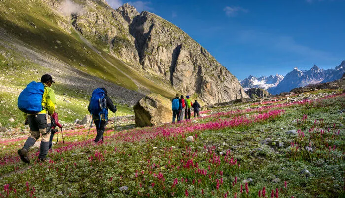 Day Excursion of Solang Valley & Rohtang from Manali