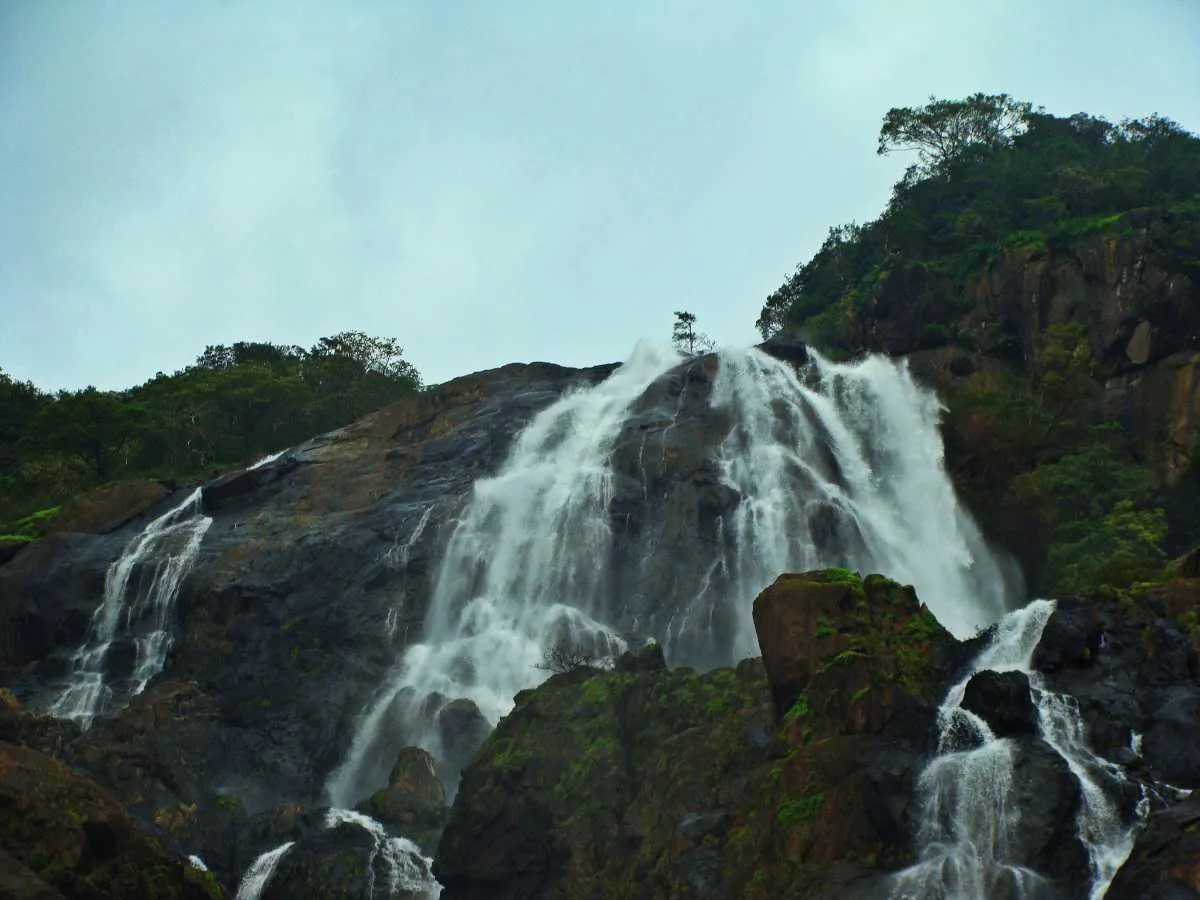 One Day Tour of Shivanasamudra Falls from Mysore by Car