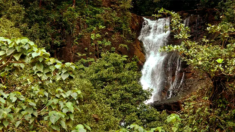 One Day Chikmagalur Sightseeing Trip by Car