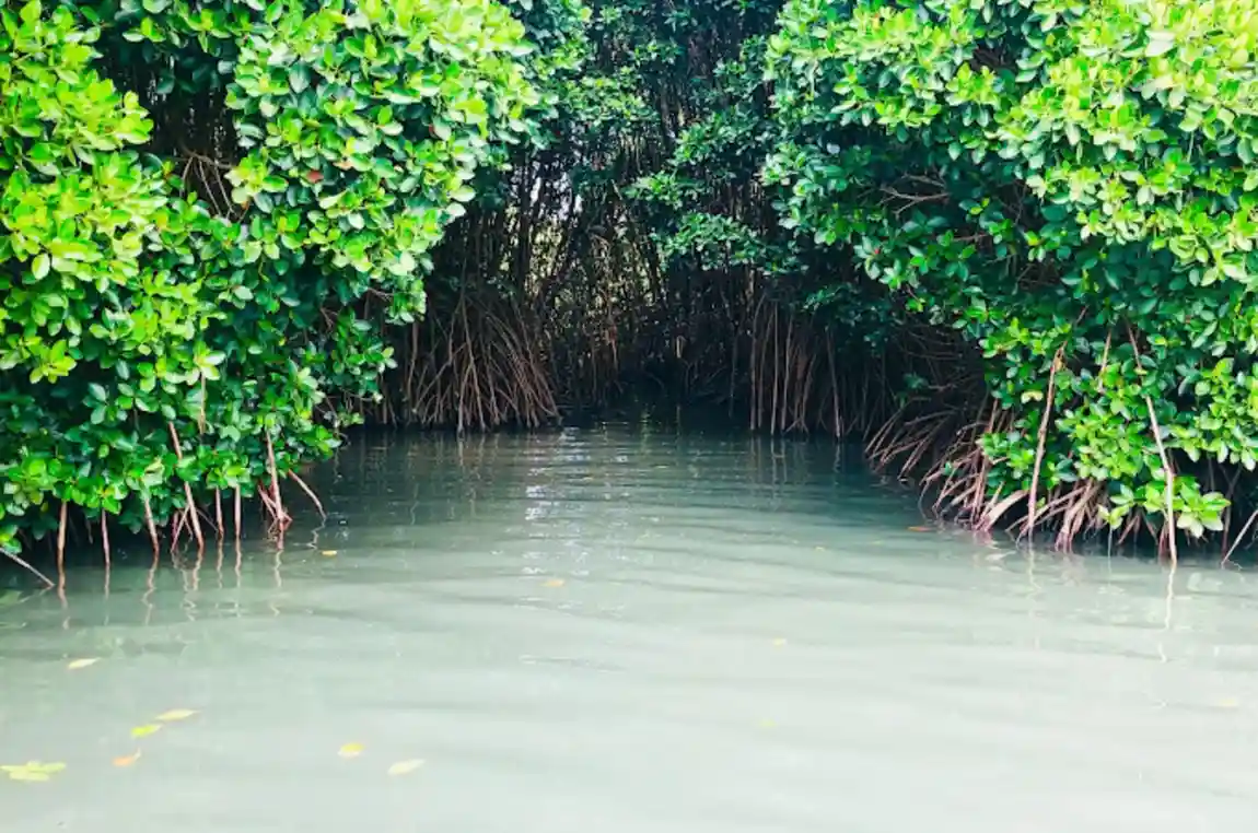 Kadalundi Boating