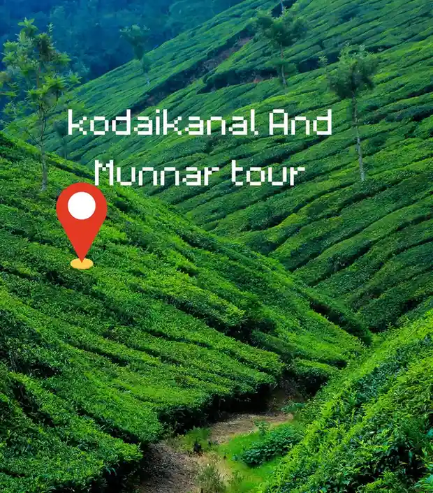 Kodaikanal and Munnar Tour Packages