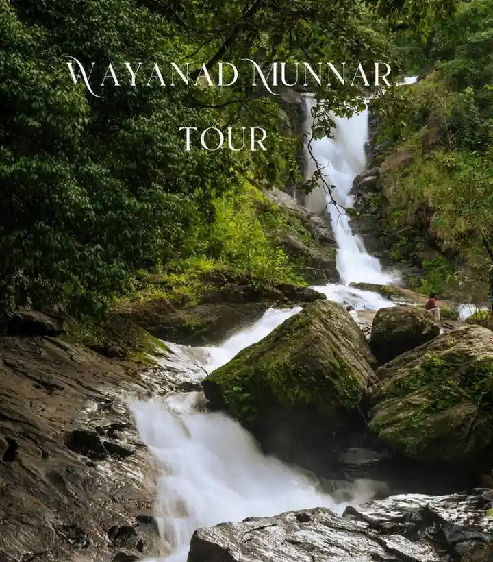 Wayanad Munnar Tour Package