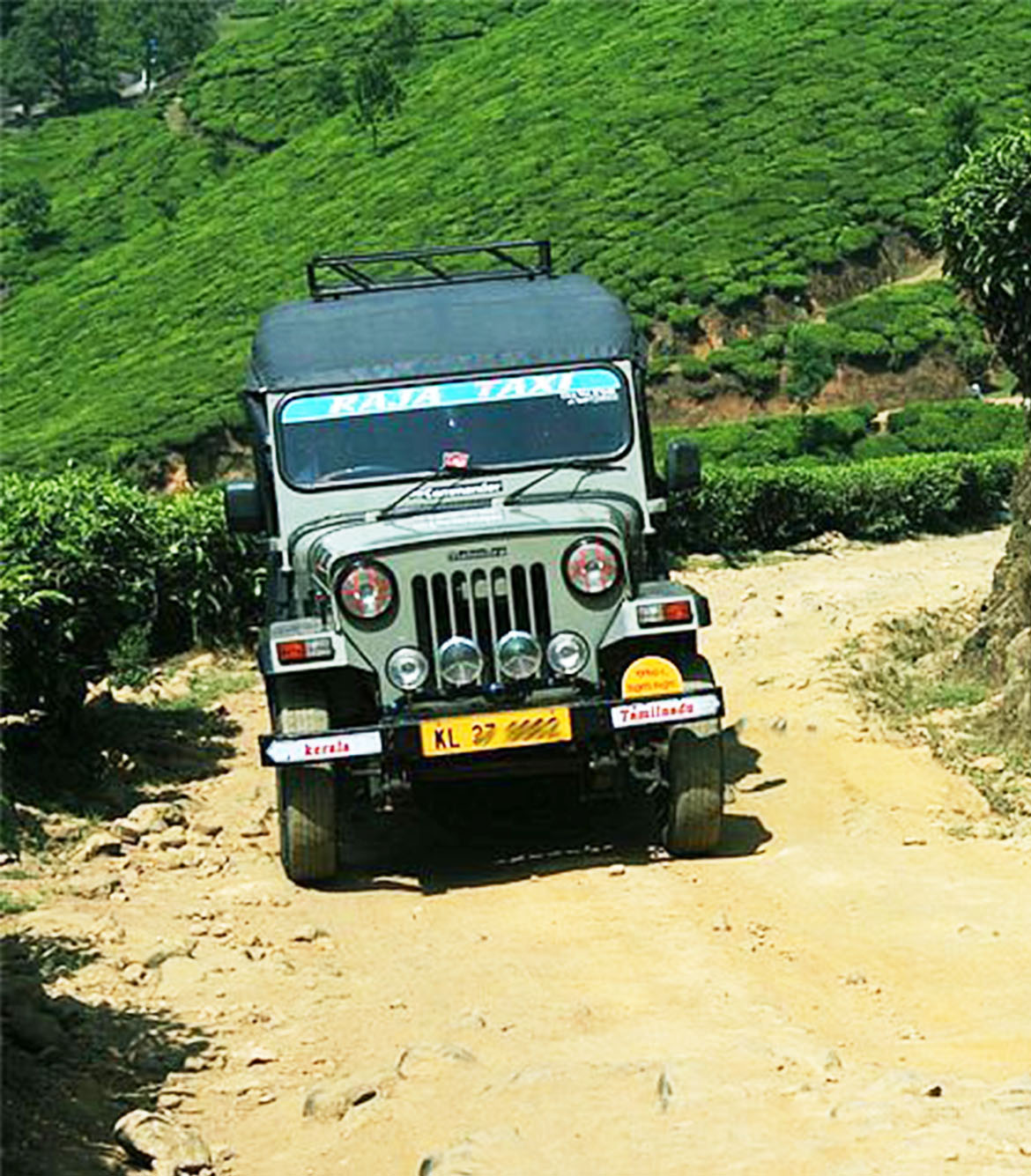 Camping at Suryanelli Munnar