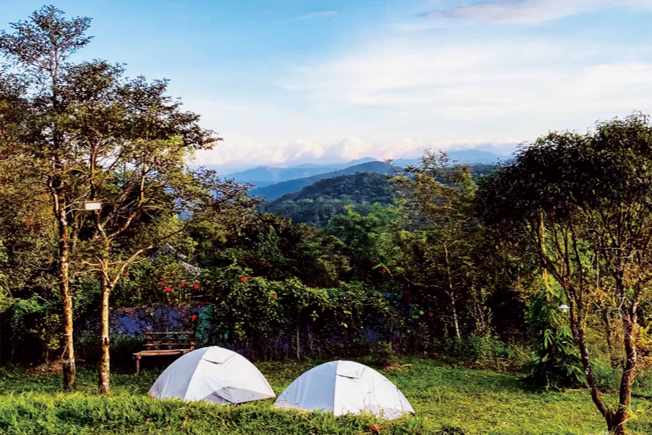 Camping in Thekkady