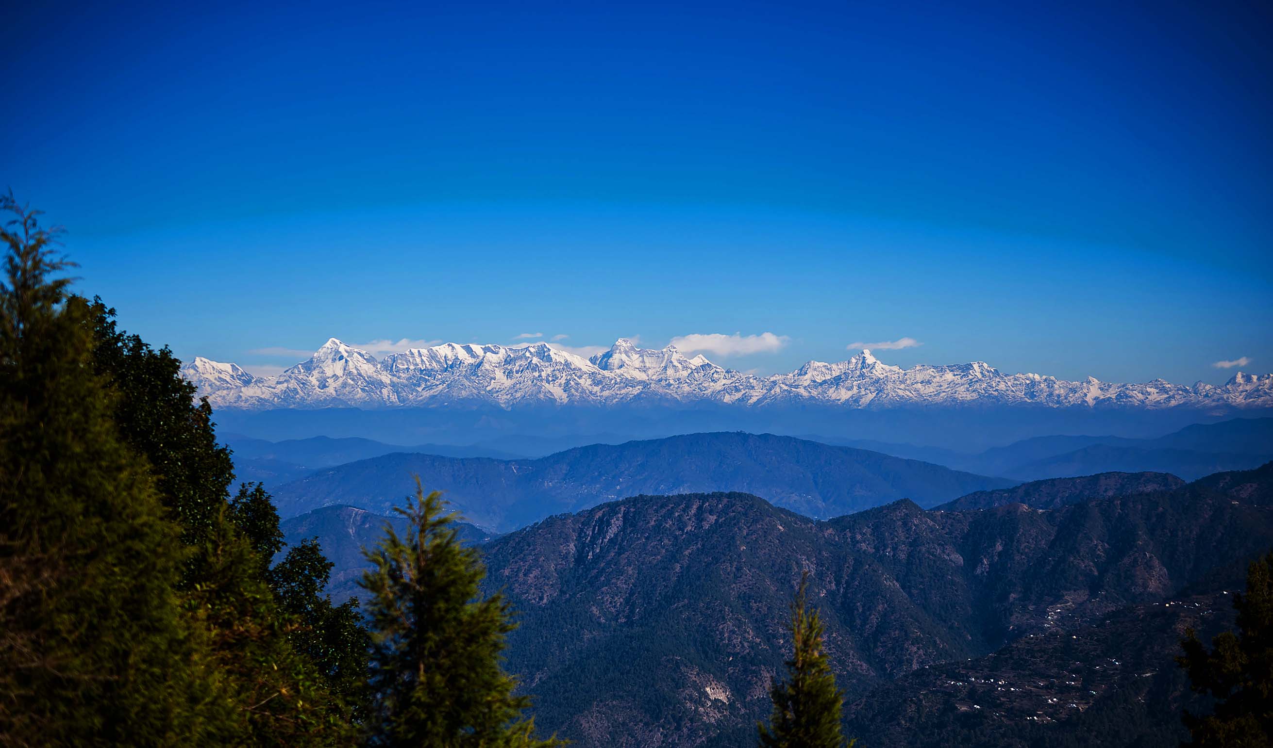 Kalpeshwar, Rudranath & Tungnath Trek, Uttarakhand