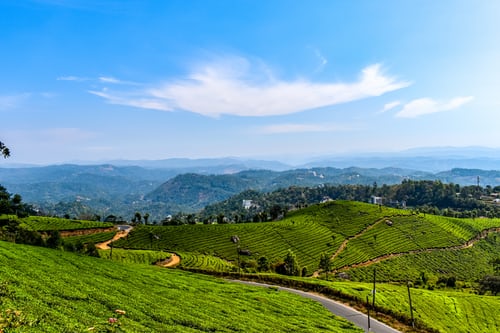 Coimbatore To Munnar Tour Package