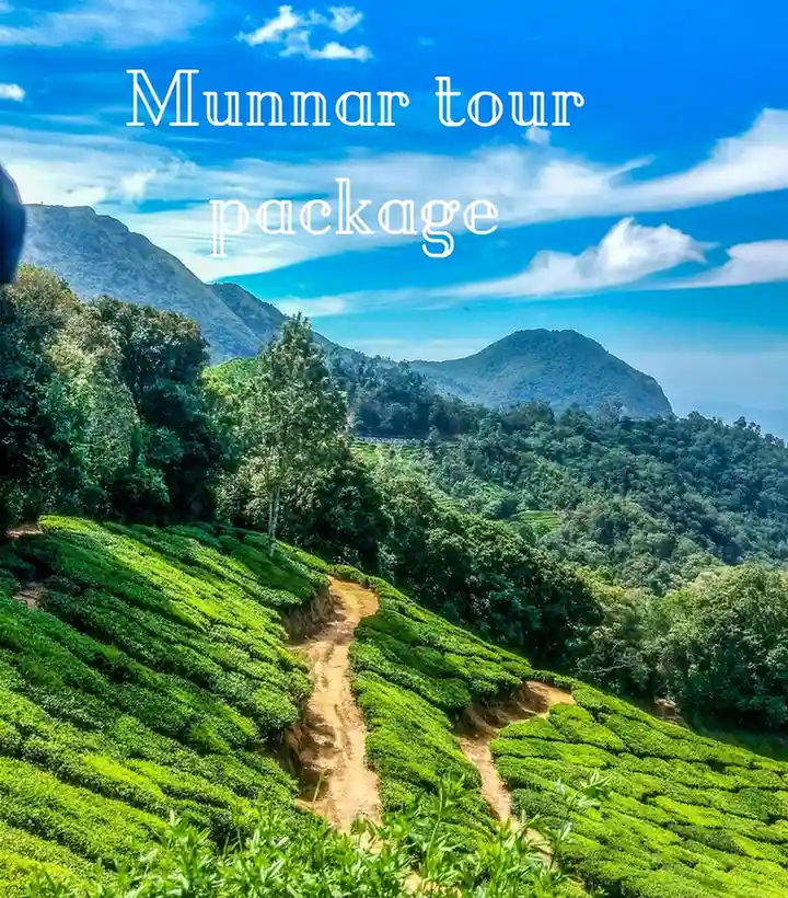 Munnar Tour Packages for 3 Days