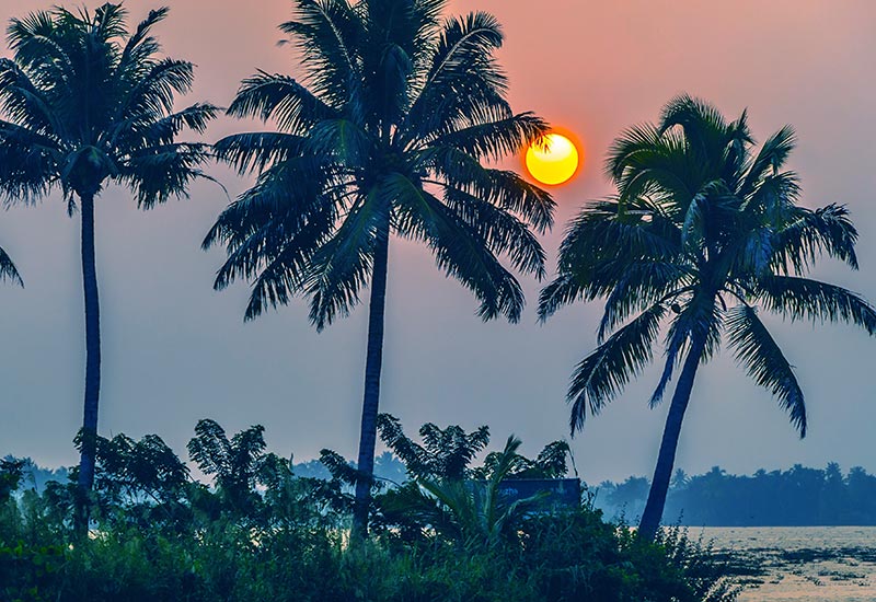 Kerala Tour Package from Mumbai with Flights