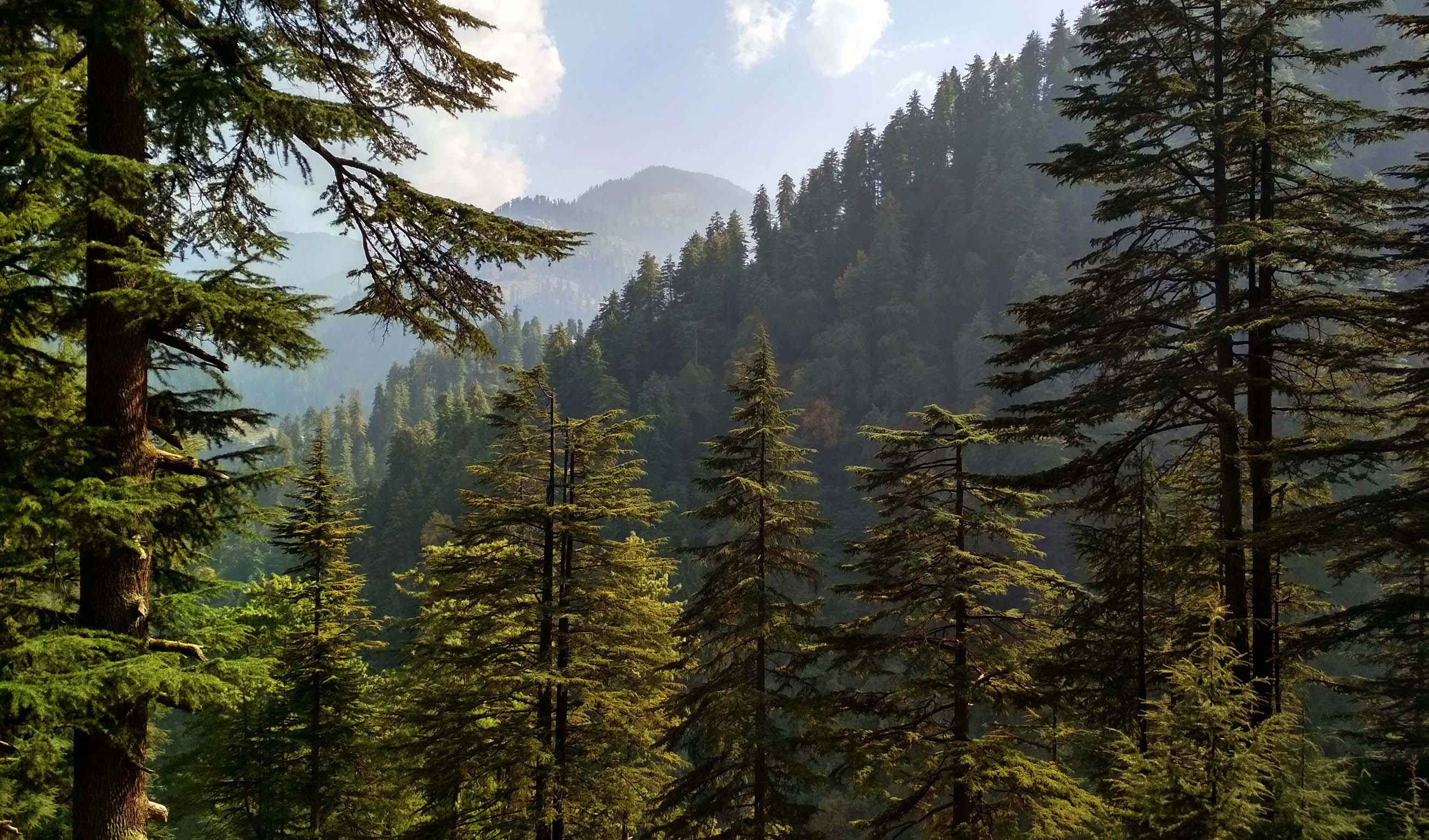 Manali Kasol Jibhi with Chalal and Kheerganga Trek