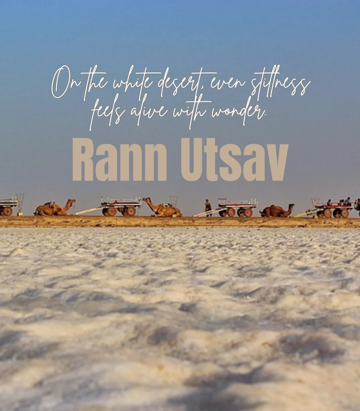 Rann Utsav with Statue of Unity Tour Package