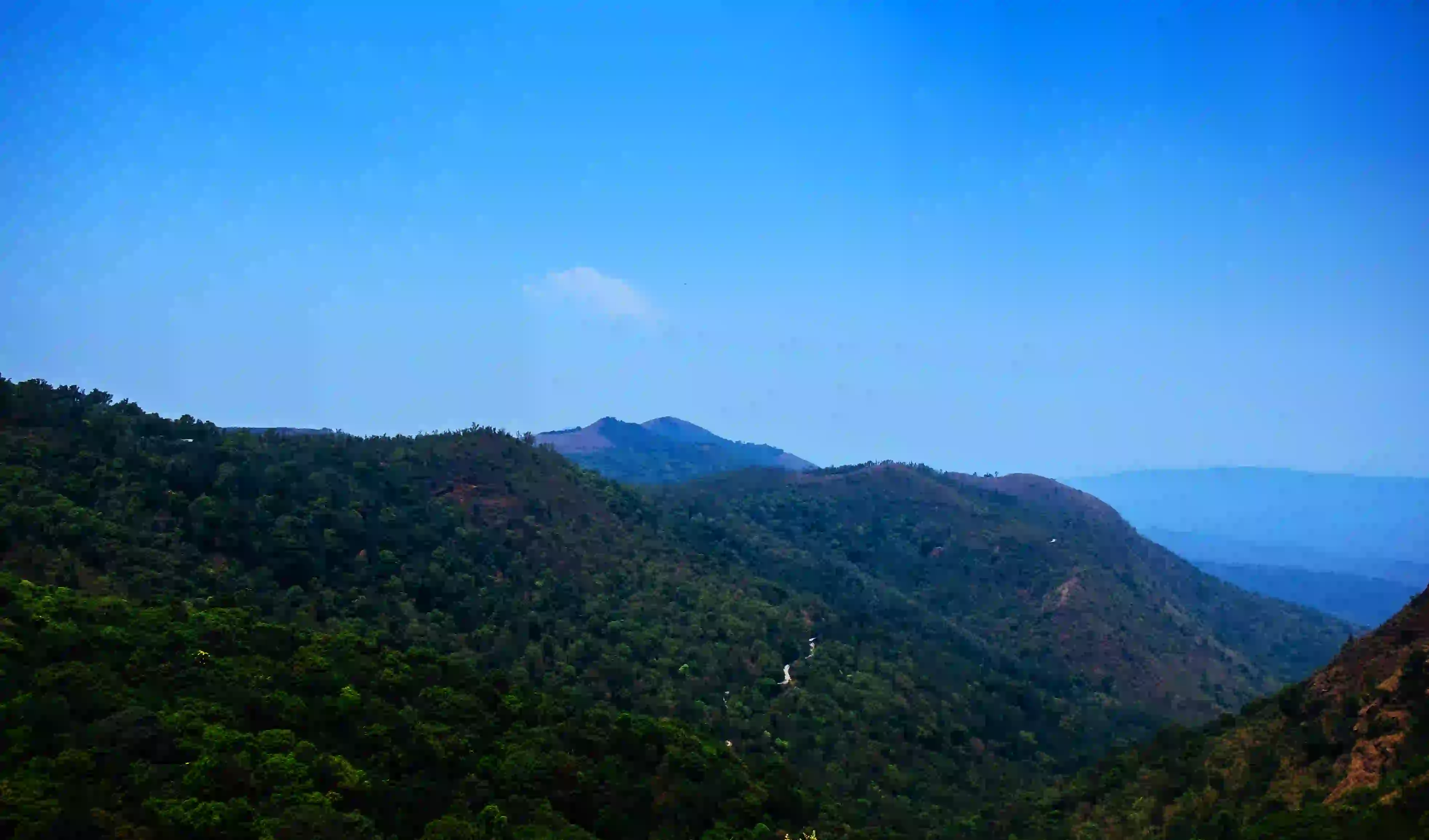 Rafting Rowing in Danikanahalli, Chikmagalur