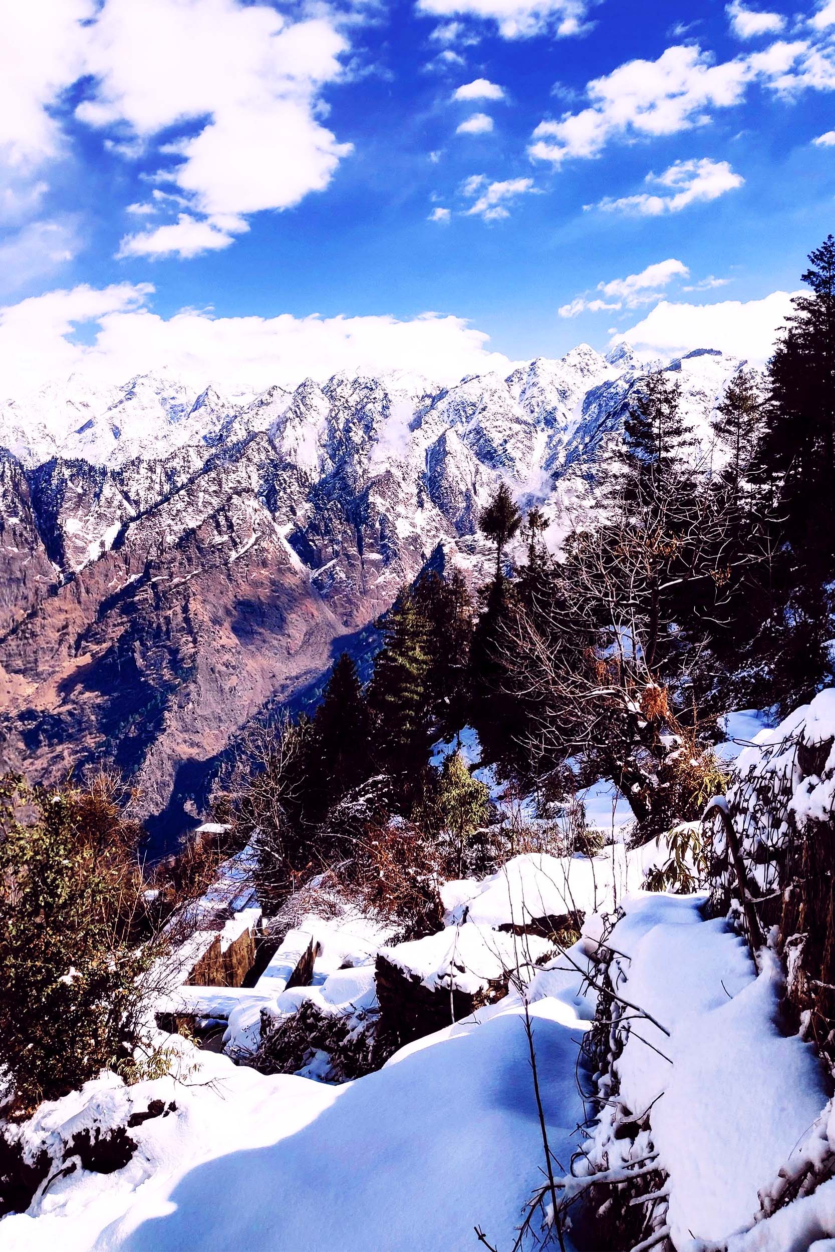 Auli Trek Auli Winter Trek In Uttarakhand