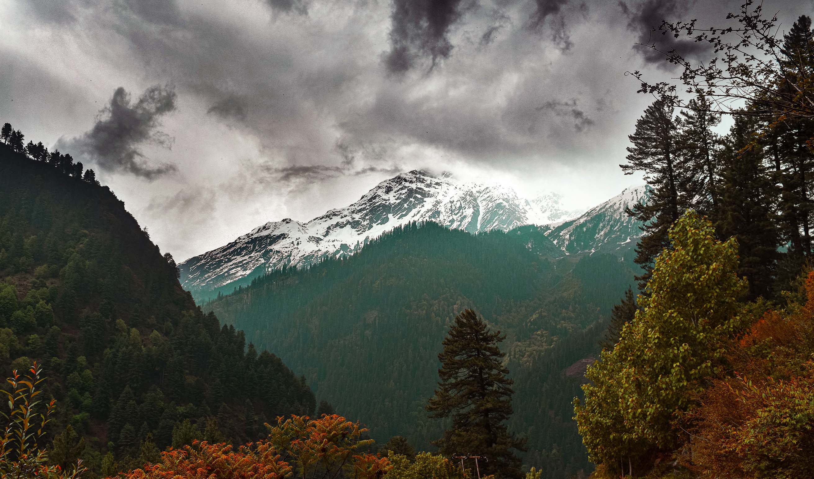 Kasol Winter Trek