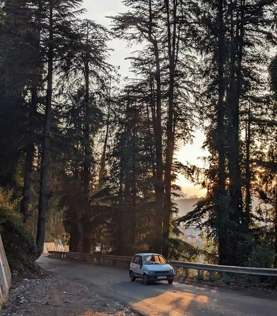 One Day Chandigarh to Shimla and Kufri Trip