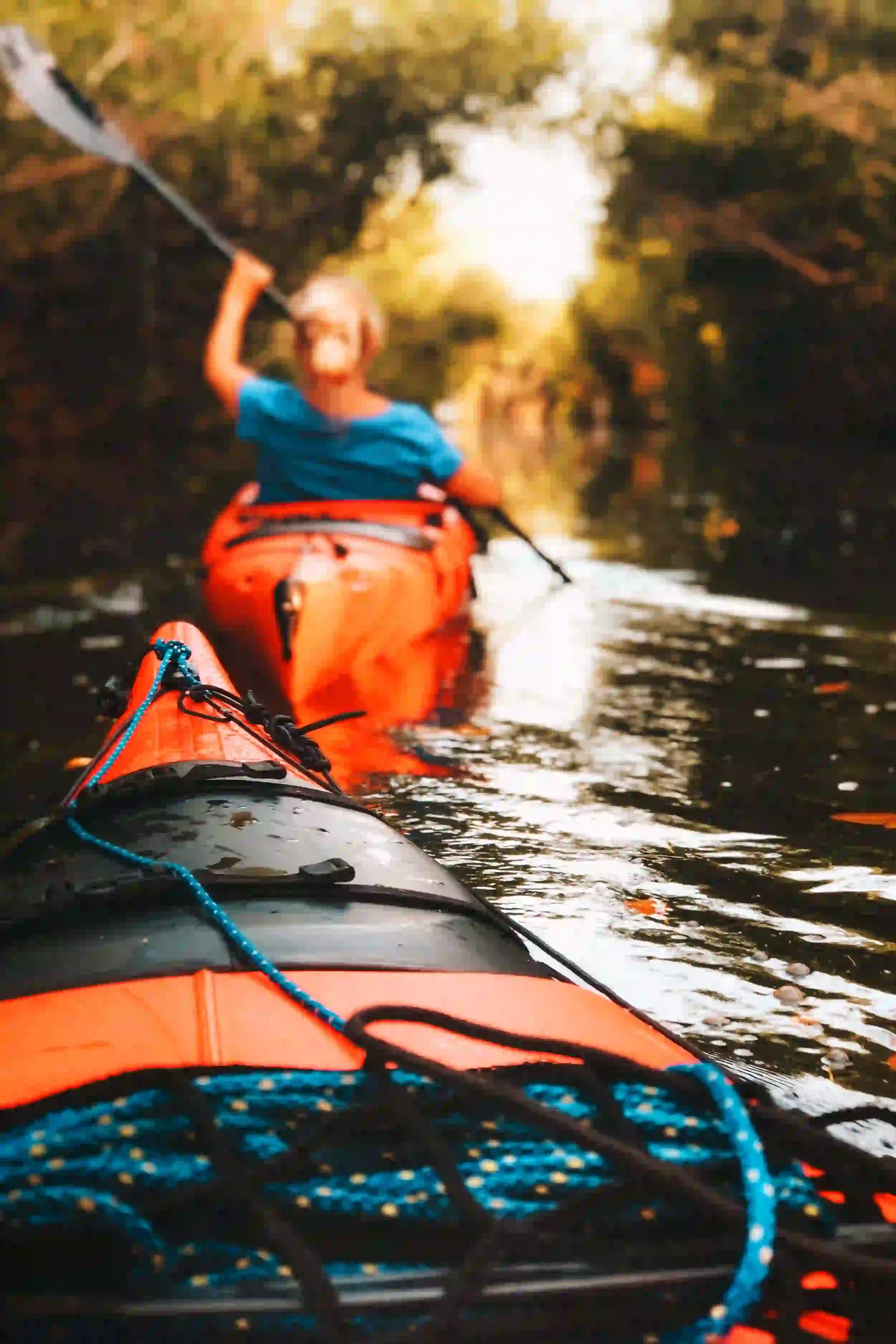 Mangrove Forest Kayaking in Pondicherry