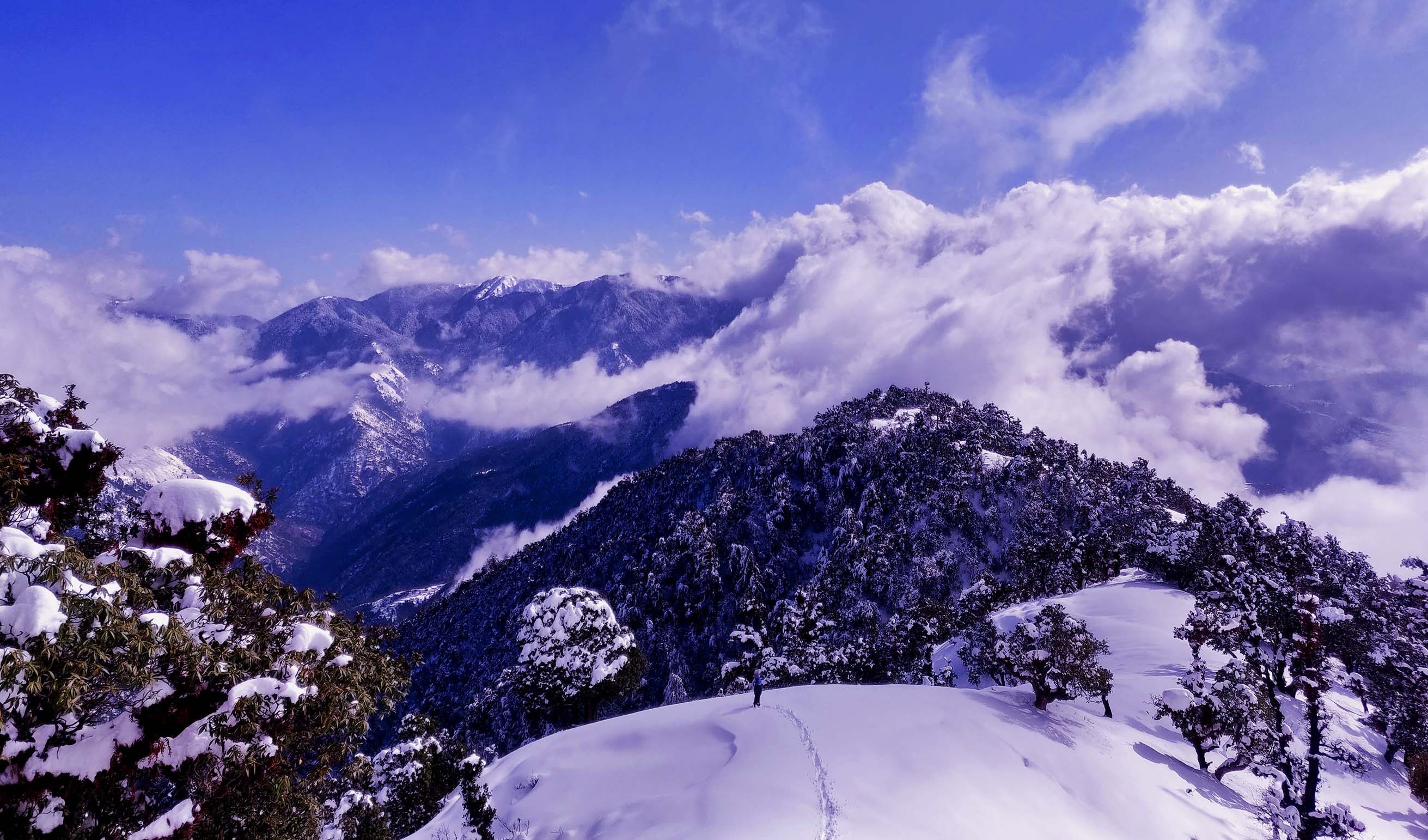 Kasol Winter Trek