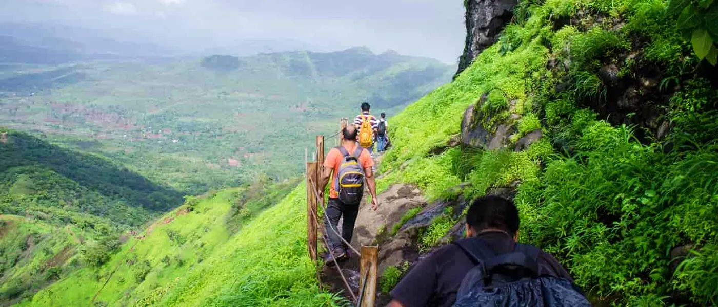 Kolukkumalai Trek & Camp