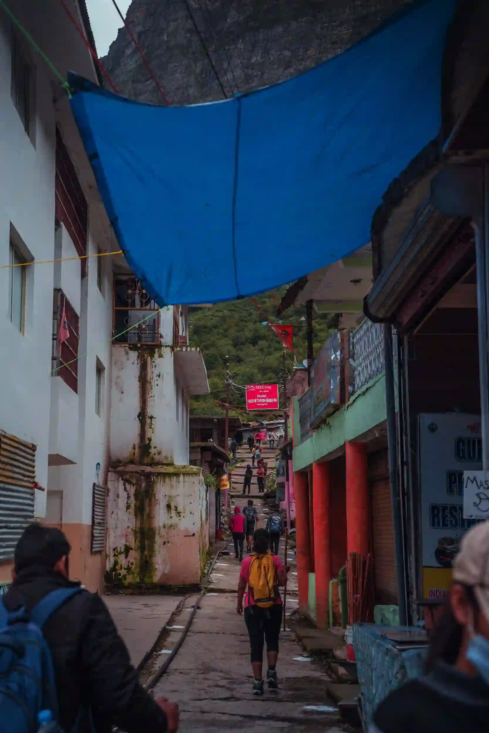 Valley of Flowers Trek from Haridwar (With Hemkund Saheb)