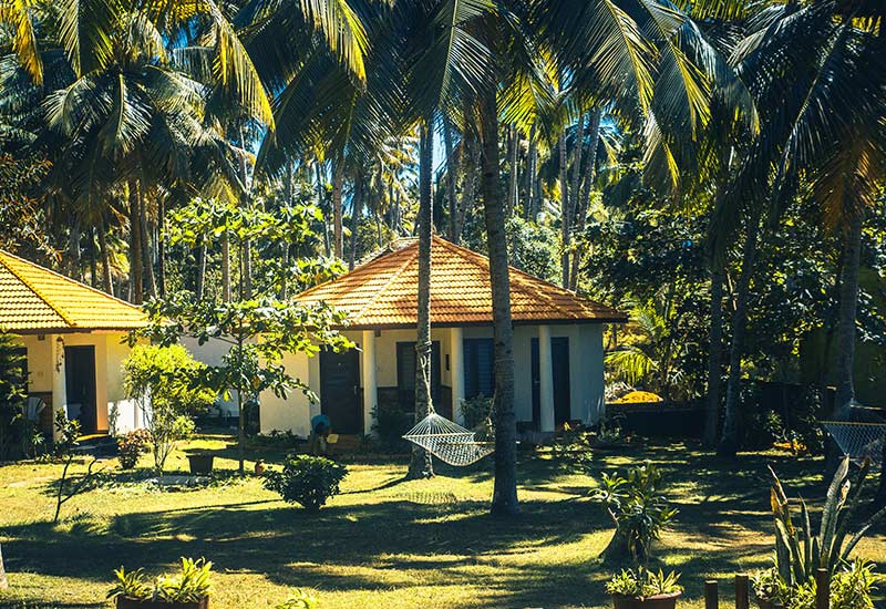 Kerala Honeymoon Package From Pune