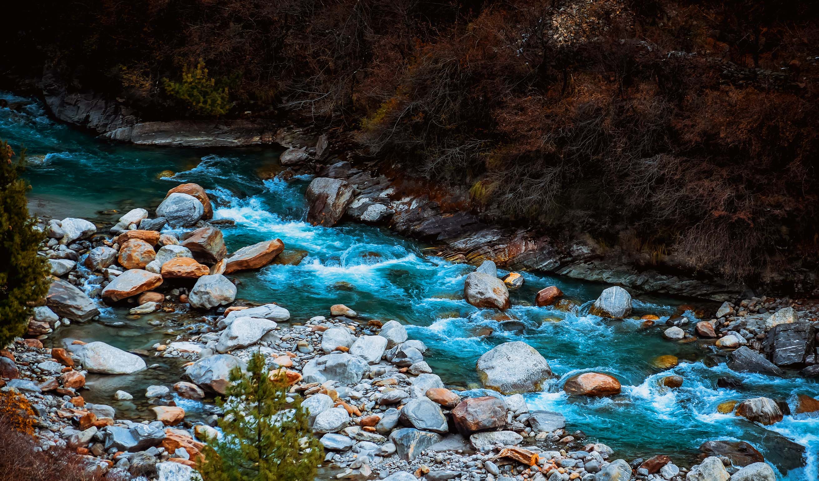 All Girls Trek To Parvati Valley