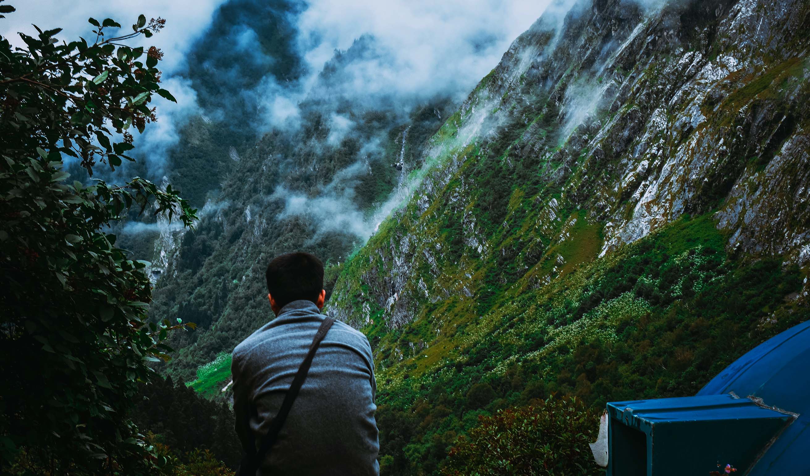 Valley of Flowers Trek from Haridwar (With Hemkund Saheb)