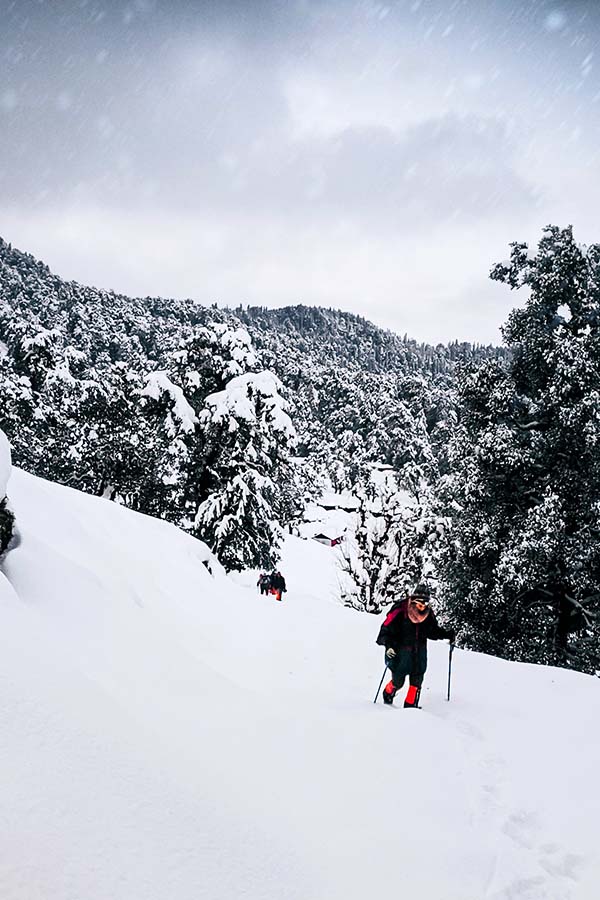 Trekking At Chopta From Delhi