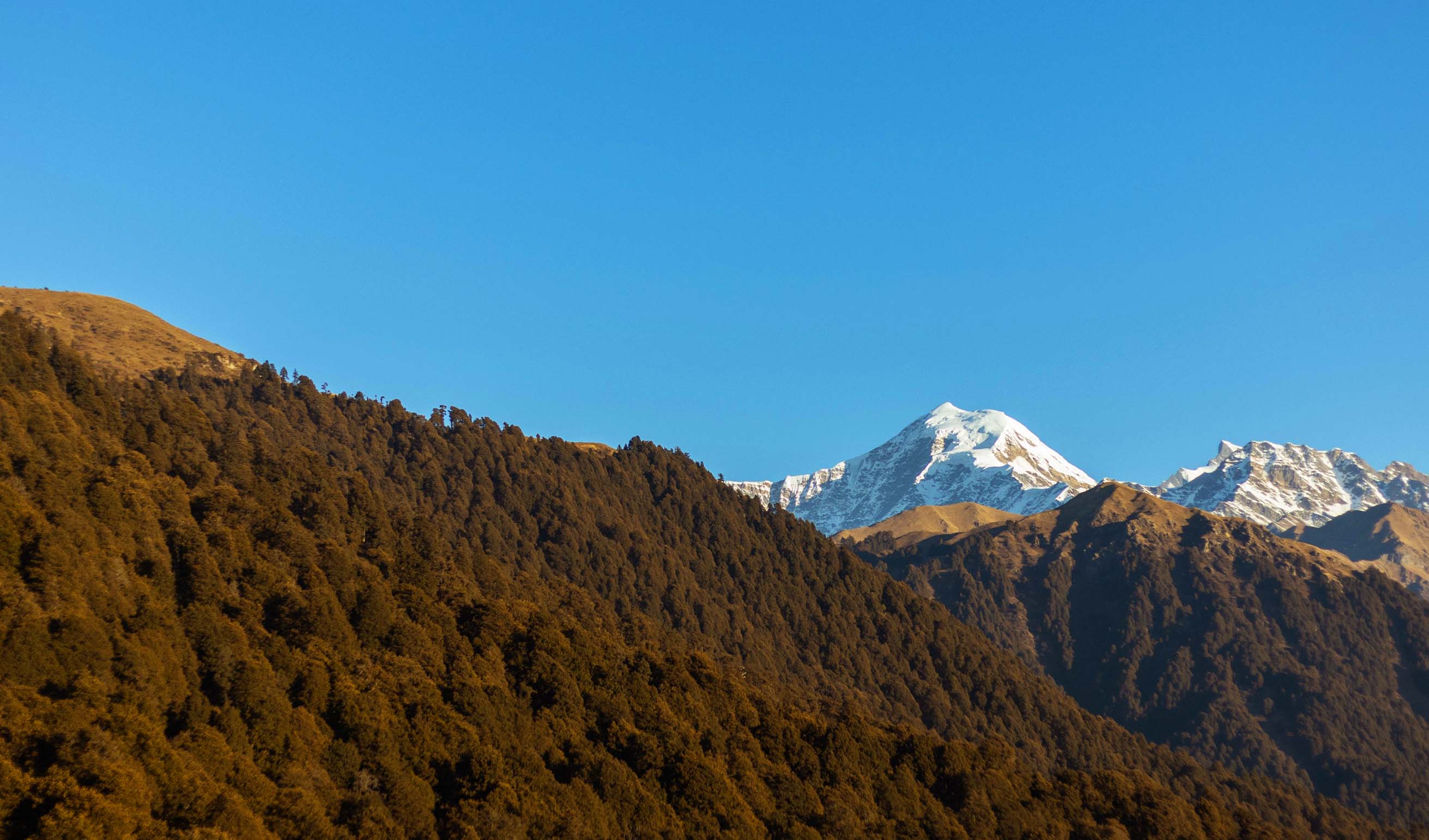 Dayara Bugyal Trek Uttarakhand