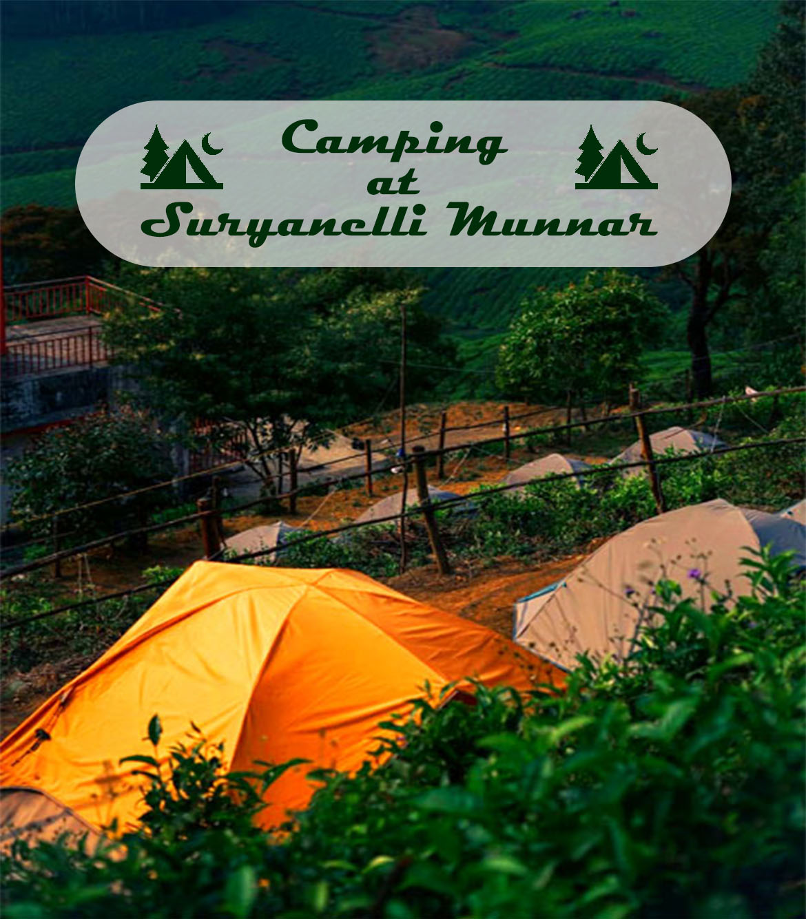 Camping at Suryanelli Munnar